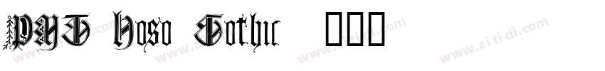 PMT Hoso Gothic字体转换